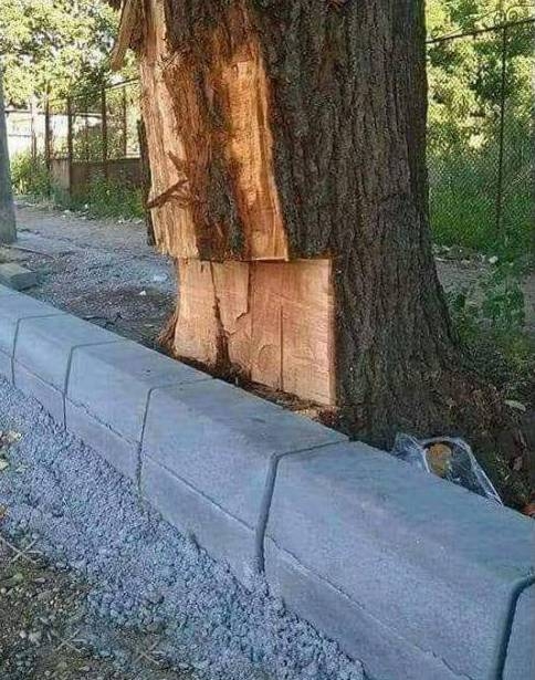 Még mindig az ember a legnagyobb állat