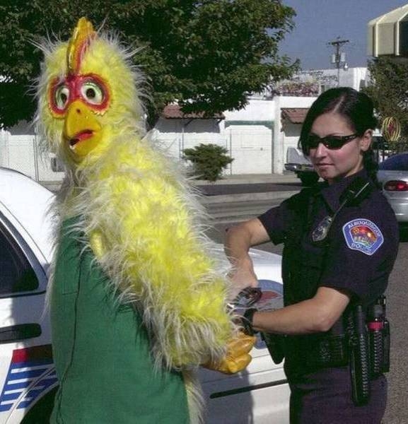 Vajon mit követett el?