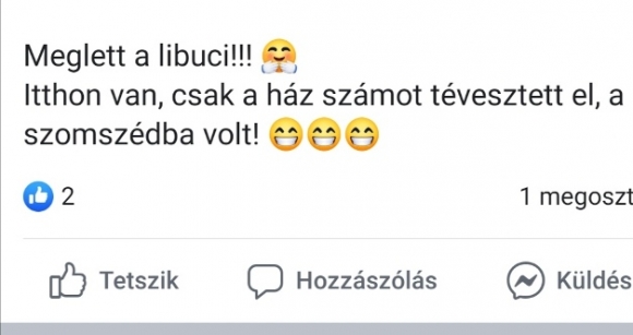 Bréking! Meglett a liba!