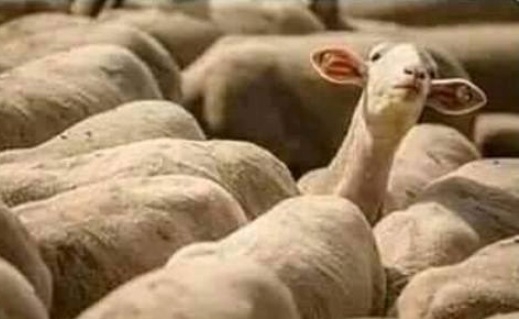 Amikor meghallod, hogy valaki felbontott egy sört