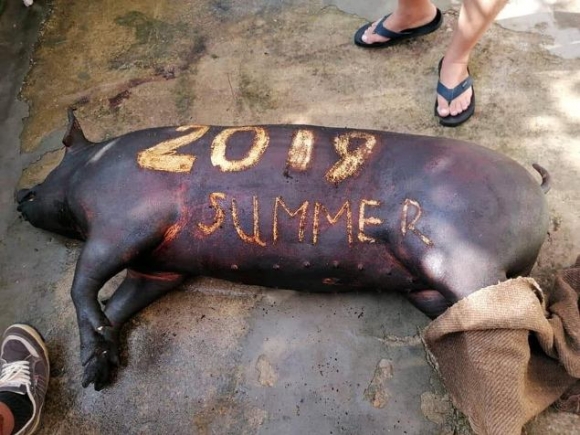 Disznóvágási szezon...