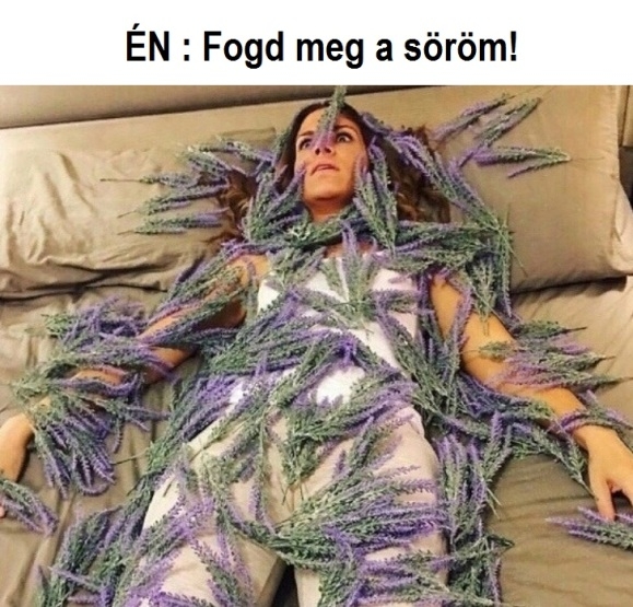 A levendula enyhíti a stresszt...