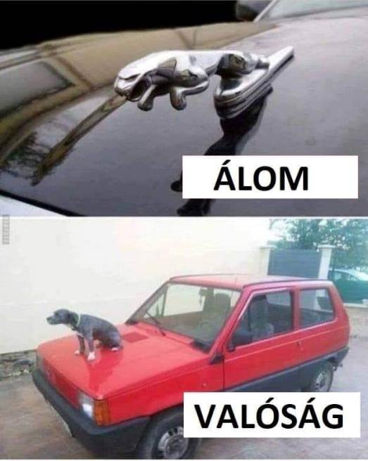 Az álmok azért vannak, hogy megvalósítsuk őket