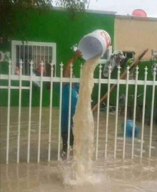 Amikor a butaság szorgalommal párosul