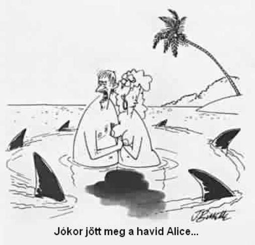 Nagy a baj, rosszkor jött meg a havibaj