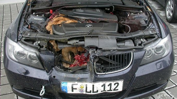 Gyanítom, hogy nem 50-el ment...