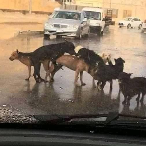 Így képzelem, amikor valaki kiírja...