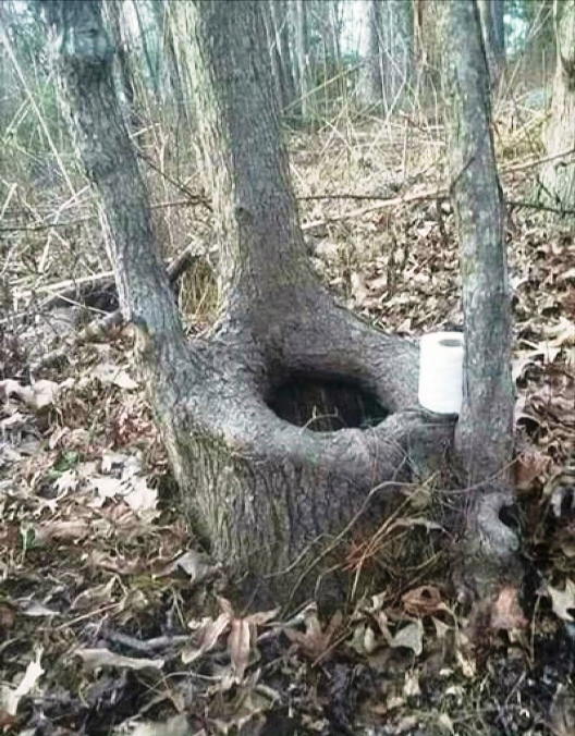 A természet lágy ölén