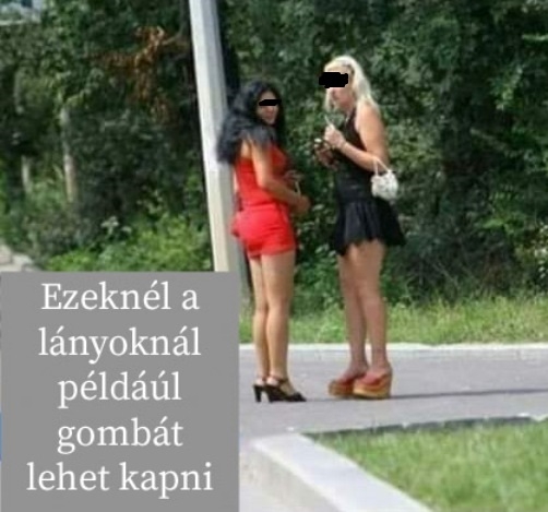 Manapság mindenfelé lehet zöldséget vásárolni