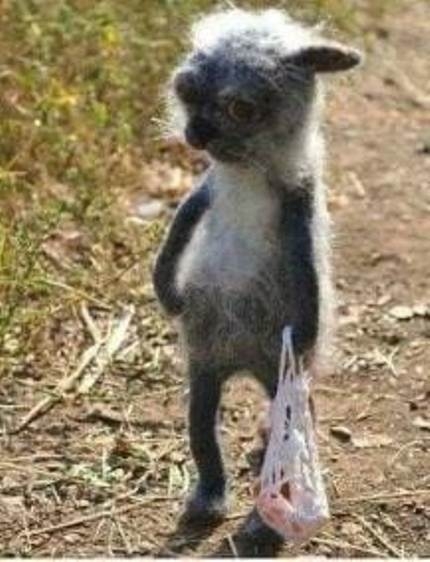 Amikor hó végén slattyogsz haza a közértből