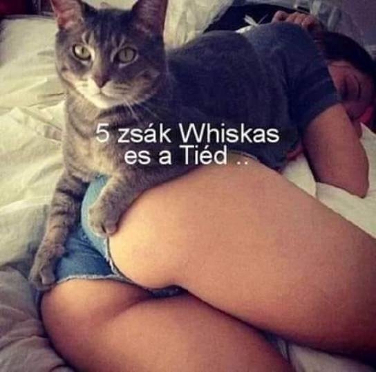 Befutott a nap ajánlata