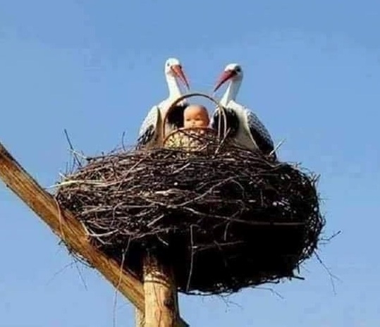 Amikor rajtad marad az áru