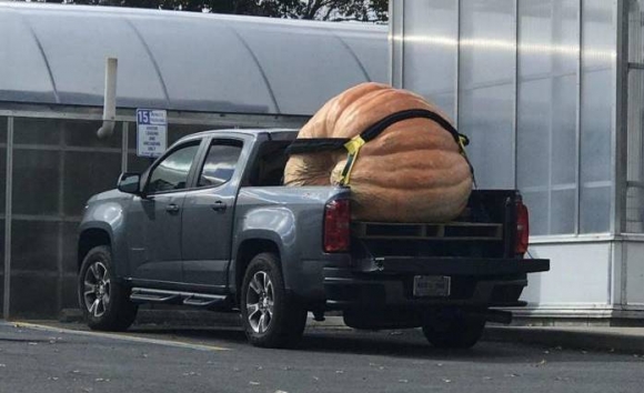 Indul a sütőtök szezon