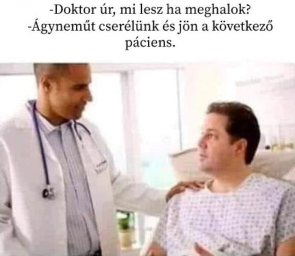 Nem ezt a választ várta