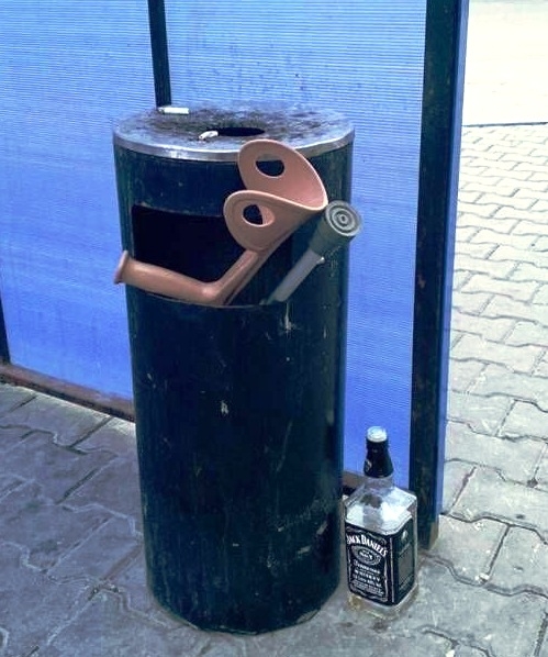 Csodálatos gyógyulás