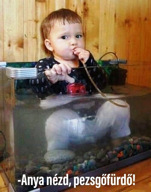 Öröm egy ilyen kiskölyök :P