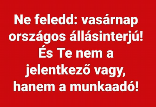 Ma tartják a 2019-es önkormányzati választásokat