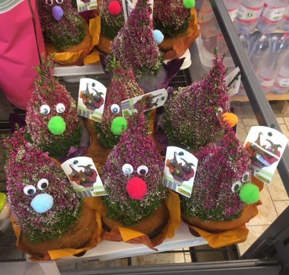 A Lidlben járt egy napiszar látogató