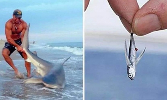 Bruttó fizetés vs nettó fizetés