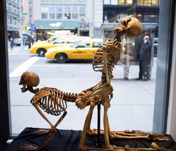 Bizarr kirakat dekoráció