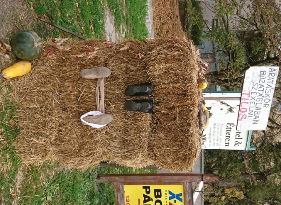 Eközben Szilvásváradon... 