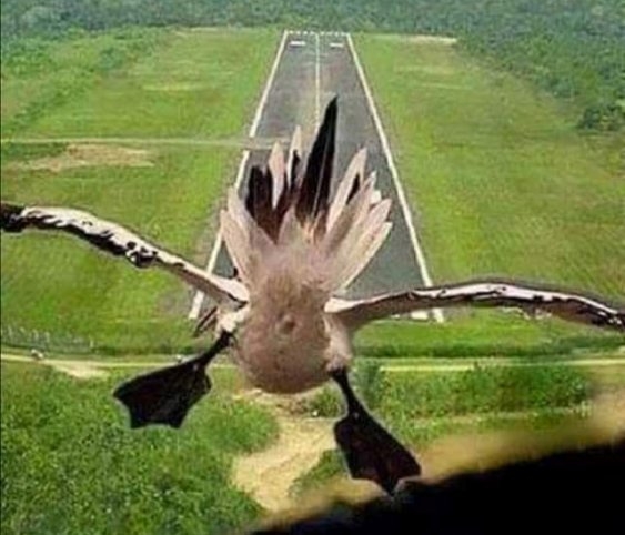 Ezt a repteret még telifosom, oszt mára ennyi vót a meló!