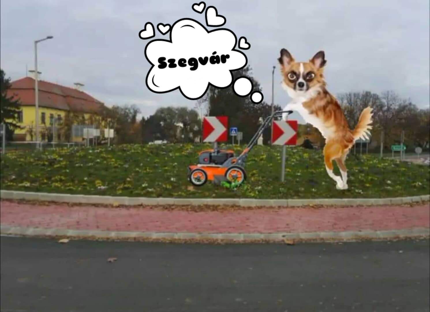 Eközben Csongrád megyében