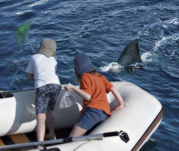 Reméljük túlélték a srácok a kalandot