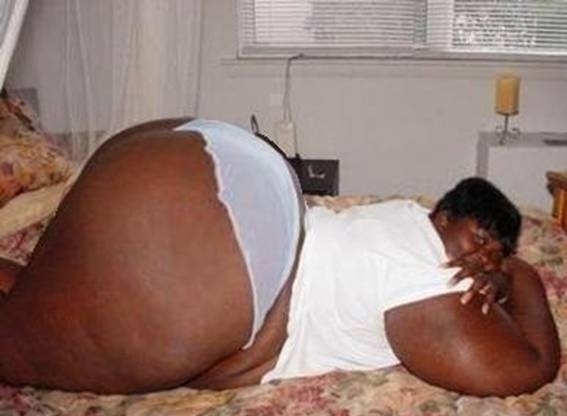 Egy jóltáplált feka gádzsi