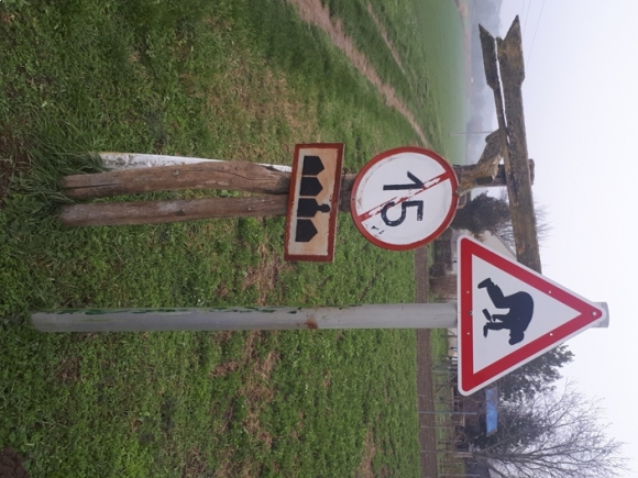 Baranya megye, Mohács, pincesor