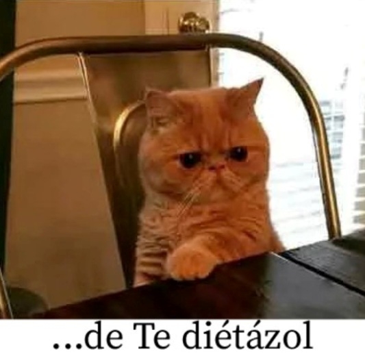 Amikor mindenki desszertet zabál...