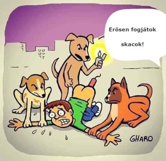 Eljött a bosszú ideje