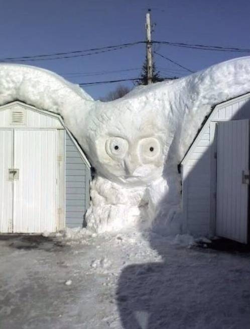 Csináld magad hóbagoly