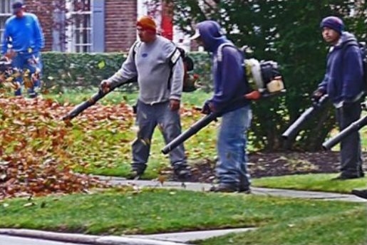 Magyar szellemirtók munka közben