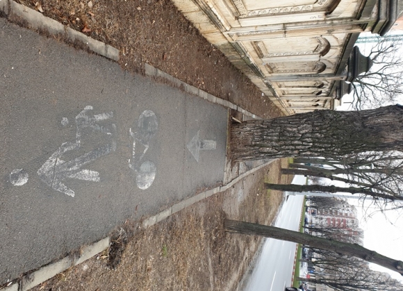 Biciklis út csak keményfejűeknek