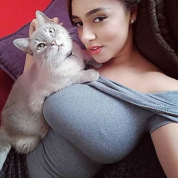 Tegnap egész nap ezt a macskás képet néztem