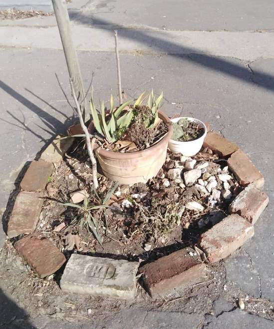 Egy kátyú élete a járdán