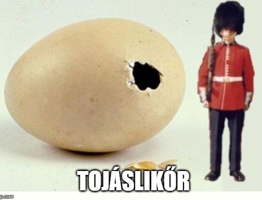 Hétfői agyzsibbasztó