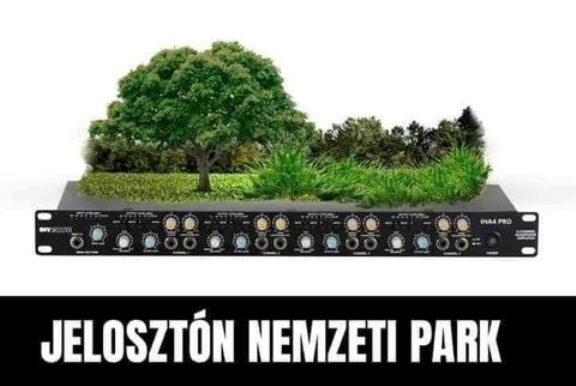 Vasárnapi zsibbasztó