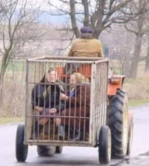 Karantén idején kóricáltak össze-vissza...