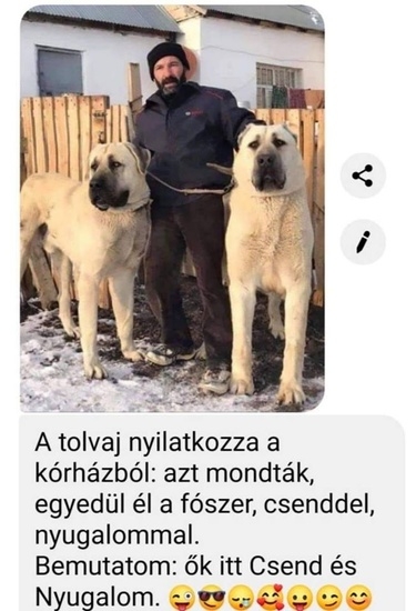 Végzetes félreértés