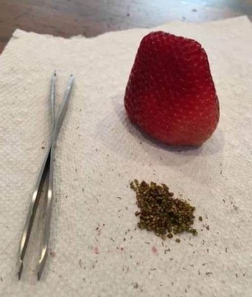 Mit csinál egy kozmetikus karantén idején?