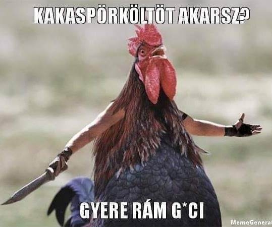 Csak keményen! 🙂