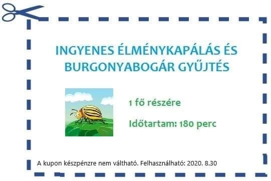 Befutott a nap ajánlata